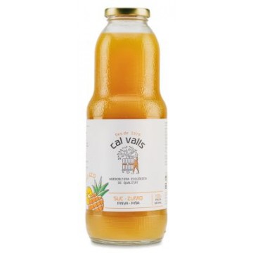 ZUMO DE PINA BIO 1L CAL VALLS