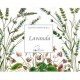 SAQUITO PERFUMADO LAVANDA 12 5G BIOAROMA