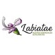 LABIATAE